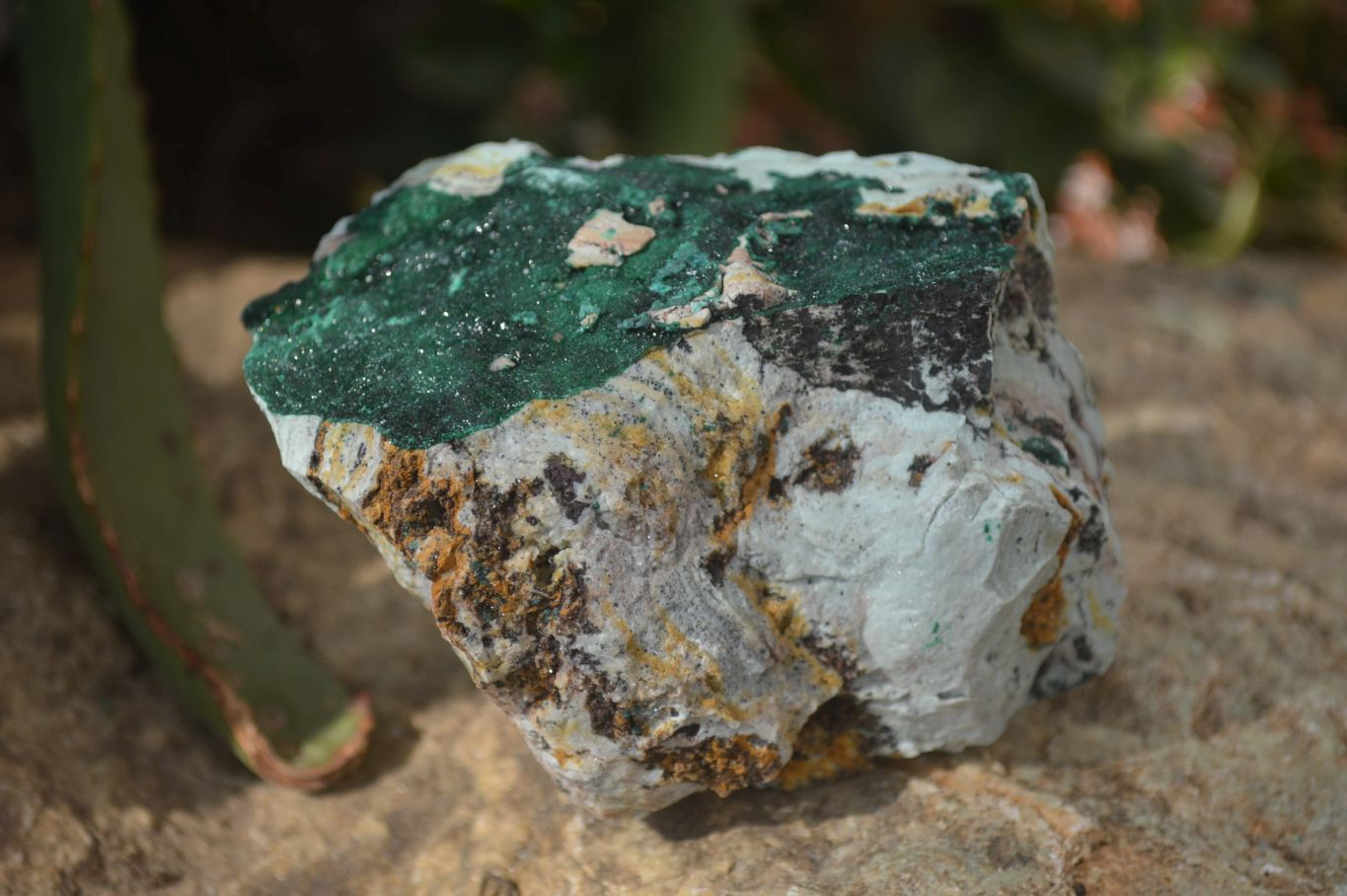 Natural Crystalline Malachite Specimens x 6 From Kasompe, Congo - Toprock Gemstones and Minerals 