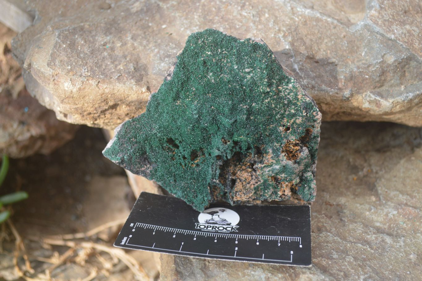 Natural Crystalline Malachite Specimens x 6 From Kasompe, Congo - Toprock Gemstones and Minerals 