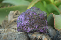Natural Metallic Purpurite Cobbed Specimens x 12 From Erongo, Namibia - Toprock Gemstones and Minerals 
