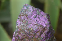 Natural Metallic Purpurite Cobbed Specimens x 12 From Erongo, Namibia - Toprock Gemstones and Minerals 