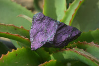 Natural Metallic Purpurite Cobbed Specimens x 12 From Erongo, Namibia - Toprock Gemstones and Minerals 