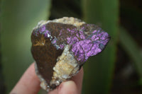 Natural Metallic Purpurite Cobbed Specimens x 12 From Erongo, Namibia - Toprock Gemstones and Minerals 