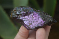 Natural Metallic Purpurite Cobbed Specimens x 12 From Erongo, Namibia - Toprock Gemstones and Minerals 