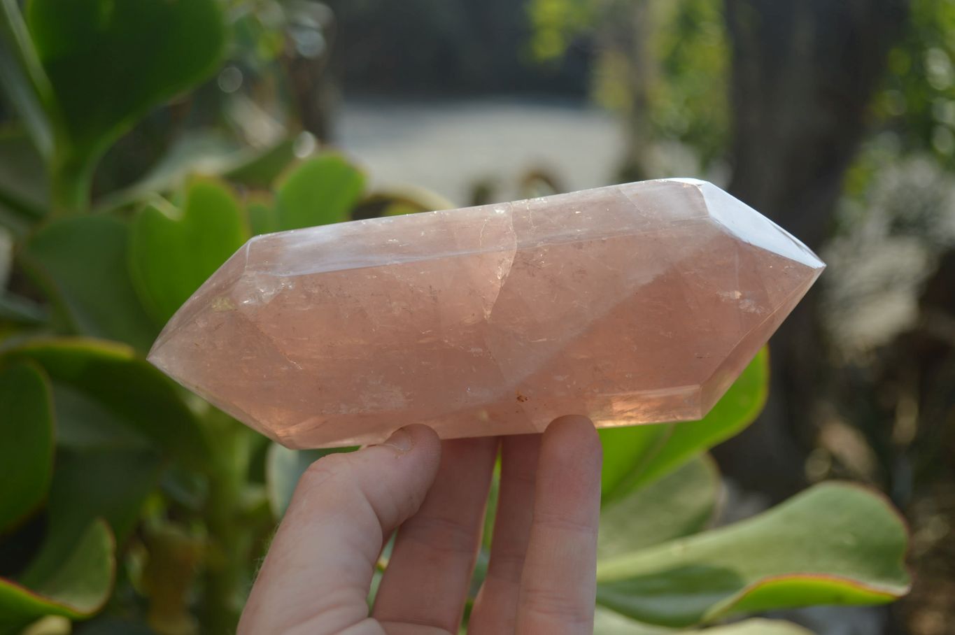 Polished Rose Quartz Double Terminated Crystals x 3 From Madagascar - Toprock Gemstones and Minerals 
