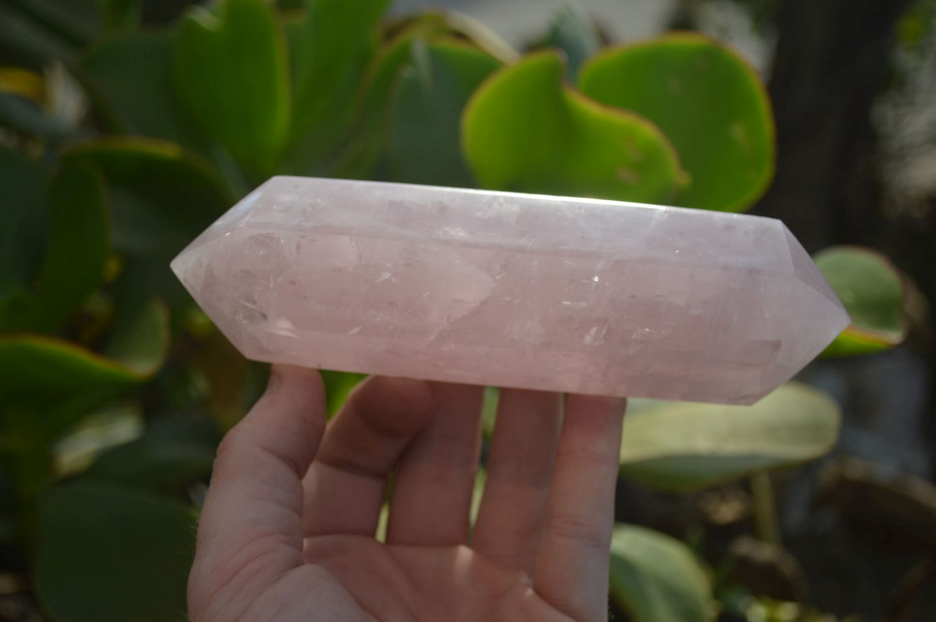 Polished Rose Quartz Double Terminated Crystals x 3 From Madagascar - Toprock Gemstones and Minerals 