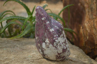 Polished Rubellite Pink Tourmaline Standing Free Form x 1 From Madagascar - Toprock Gemstones and Minerals 