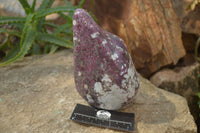 Polished Rubellite Pink Tourmaline Standing Free Form x 1 From Madagascar - Toprock Gemstones and Minerals 