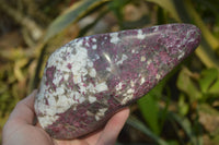 Polished Rubellite Pink Tourmaline Standing Free Form x 1 From Madagascar - Toprock Gemstones and Minerals 