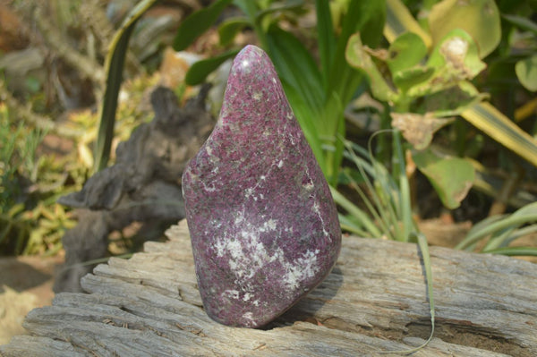 Polished Rubellite Pink Tourmaline Standing Free Form x 1 From Madagascar - Toprock Gemstones and Minerals 