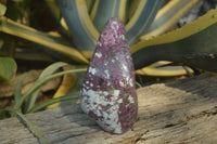 Polished Rubellite Pink Tourmaline Standing Free Form x 1 From Madagascar - Toprock Gemstones and Minerals 