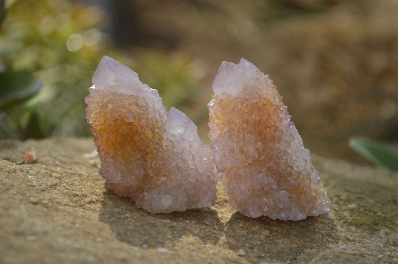 Natural Ametrine Spirit Quartz Crystals x 20 From Boekenhouthoek, South Africa - Toprock Gemstones and Minerals 