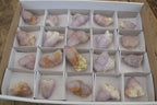 Natural Ametrine Spirit Quartz Crystals x 20 From Boekenhouthoek, South Africa - Toprock Gemstones and Minerals 