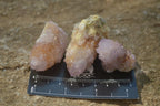Natural Ametrine Spirit Quartz Crystals x 20 From Boekenhouthoek, South Africa - Toprock Gemstones and Minerals 