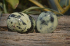 Polished Leopard Stone Galet-Palm Stones x 12 From Zimbabwe - Toprock Gemstones and Minerals 
