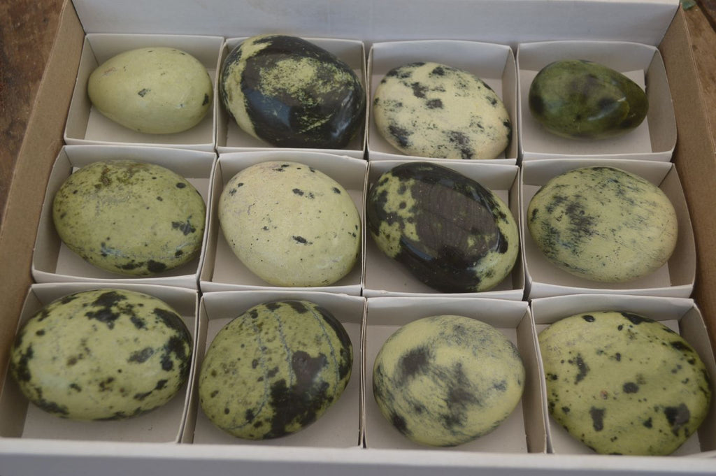 Polished Leopard Stone Galet-Palm Stones x 12 From Zimbabwe - Toprock Gemstones and Minerals 