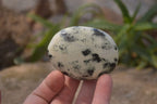 Polished Leopard Stone Galet-Palm Stones x 12 From Zimbabwe - Toprock Gemstones and Minerals 