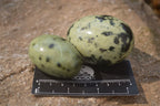 Polished Leopard Stone Galet-Palm Stones x 12 From Zimbabwe - Toprock Gemstones and Minerals 