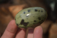 Polished Leopard Stone Galet-Palm Stones x 12 From Zimbabwe - Toprock Gemstones and Minerals 