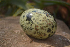 Polished Leopard Stone Galet-Palm Stones x 12 From Zimbabwe - Toprock Gemstones and Minerals 