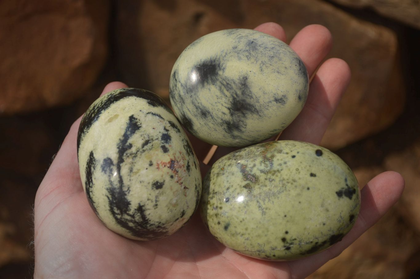 Polished Leopard Stone Galet-Palm Stones x 12 From Zimbabwe - Toprock Gemstones and Minerals 