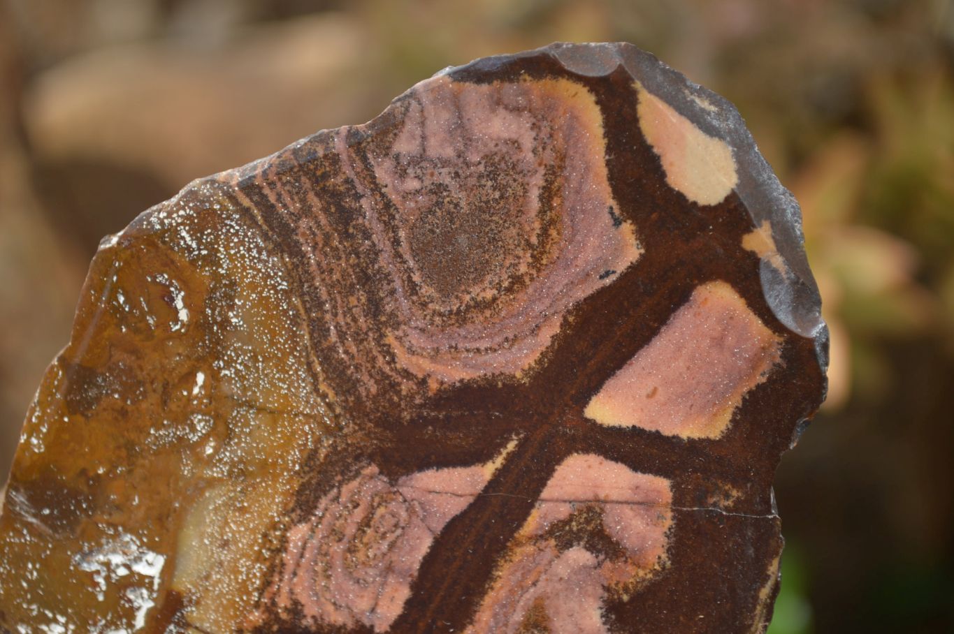 Polished On One Side Nguni Jasper Specimens x 3 From Prieska, South Africa - Toprock Gemstones and Minerals 