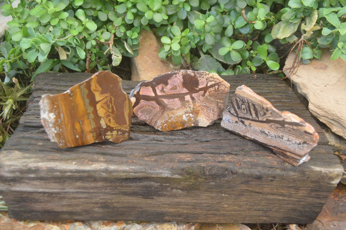 Polished On One Side Nguni Jasper Specimens x 3 From Prieska, South Africa - Toprock Gemstones and Minerals 