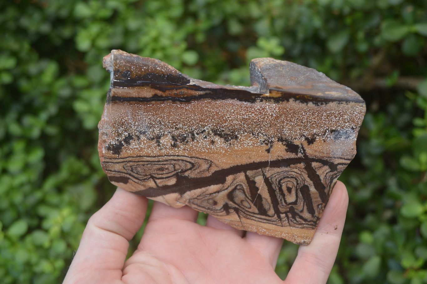 Polished On One Side Nguni Jasper Specimens x 3 From Prieska, South Africa - Toprock Gemstones and Minerals 