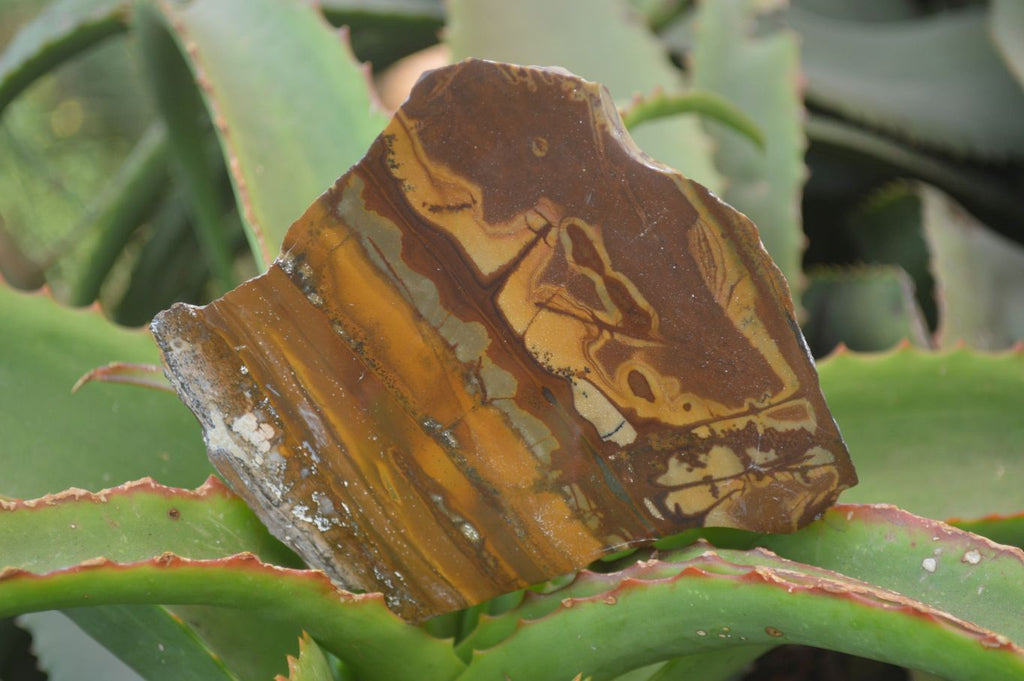 Polished On One Side Nguni Jasper Specimens x 3 From Prieska, South Africa - Toprock Gemstones and Minerals 