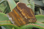 Polished On One Side Nguni Jasper Specimens x 3 From Prieska, South Africa - Toprock Gemstones and Minerals 