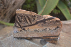 Polished On One Side Nguni Jasper Specimens x 3 From Prieska, South Africa - Toprock Gemstones and Minerals 