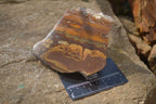 Polished On One Side Nguni Jasper Specimens x 3 From Prieska, South Africa - Toprock Gemstones and Minerals 