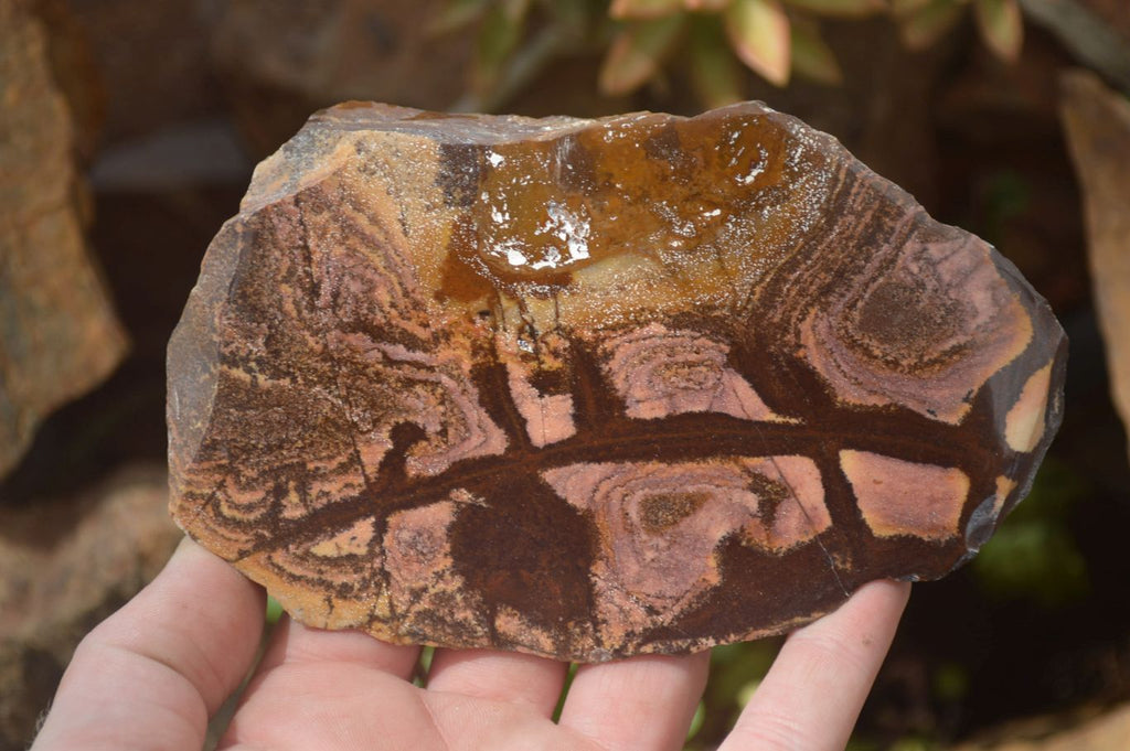 Polished On One Side Nguni Jasper Specimens x 3 From Prieska, South Africa - Toprock Gemstones and Minerals 
