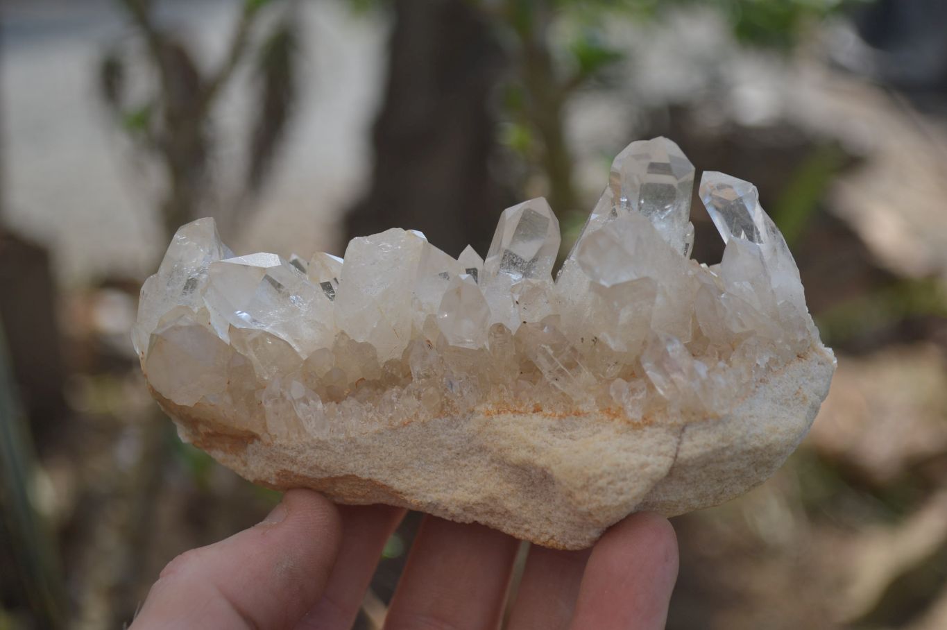 Natural Clear Quartz Clusters x 6 From Mpika, Zambia - Toprock Gemstones and Minerals 