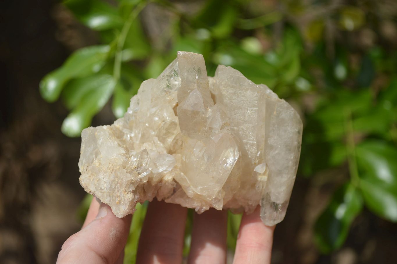 Natural Clear Quartz Clusters x 6 From Mpika, Zambia - Toprock Gemstones and Minerals 