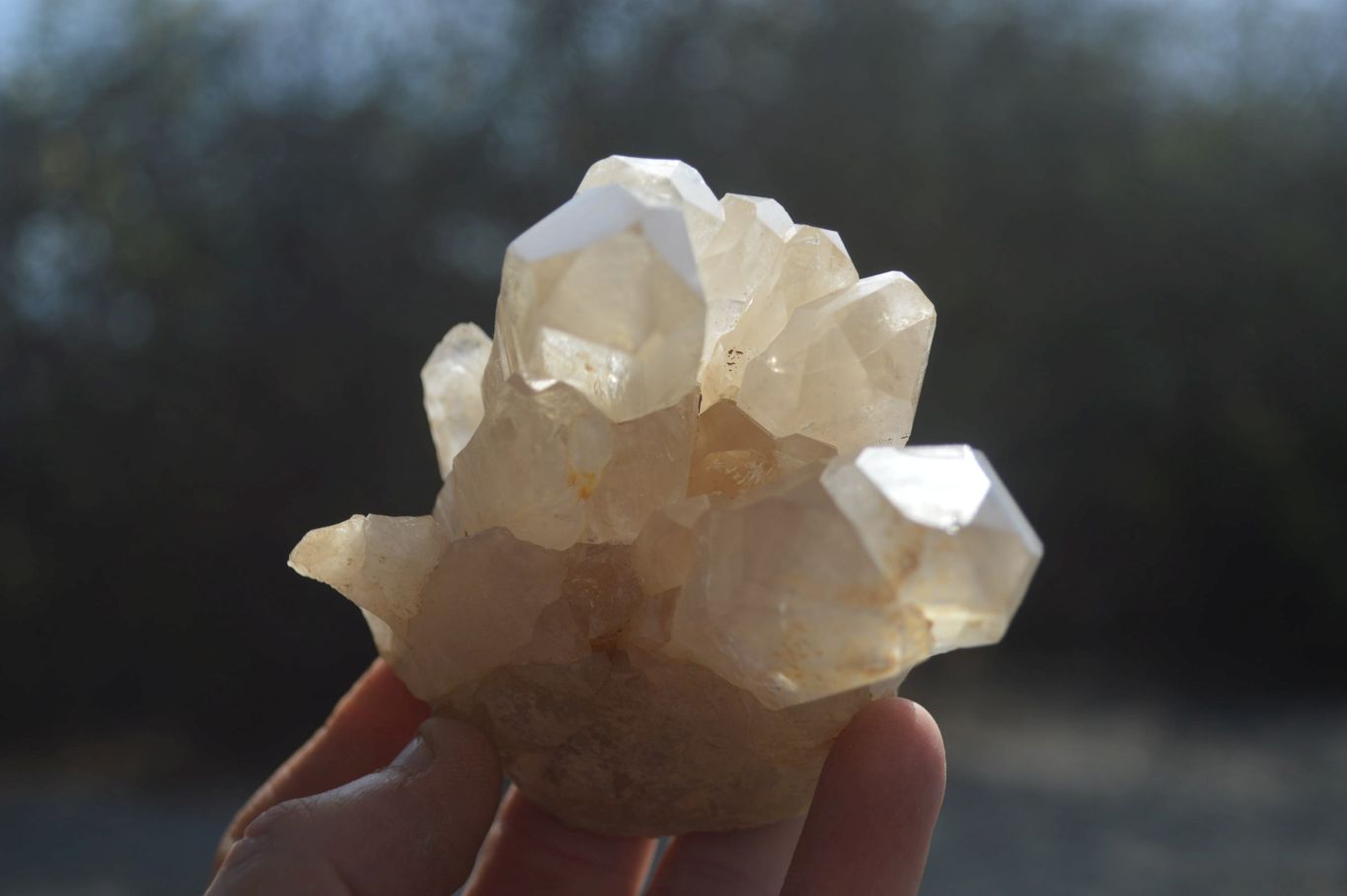 Natural Clear Quartz Clusters x 6 From Mpika, Zambia - Toprock Gemstones and Minerals 