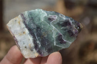 Polished On One Side Watermelon Fluorite Slices x 12 From Namibia - Toprock Gemstones and Minerals 