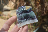 Polished On One Side Watermelon Fluorite Slices x 12 From Namibia - Toprock Gemstones and Minerals 
