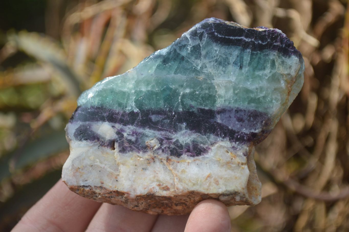Polished On One Side Watermelon Fluorite Slices x 12 From Namibia - Toprock Gemstones and Minerals 