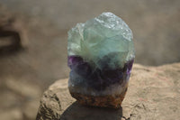 Polished On One Side Watermelon Fluorite Slices x 12 From Namibia - Toprock Gemstones and Minerals 