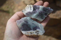 Polished On One Side Watermelon Fluorite Slices x 12 From Namibia - Toprock Gemstones and Minerals 