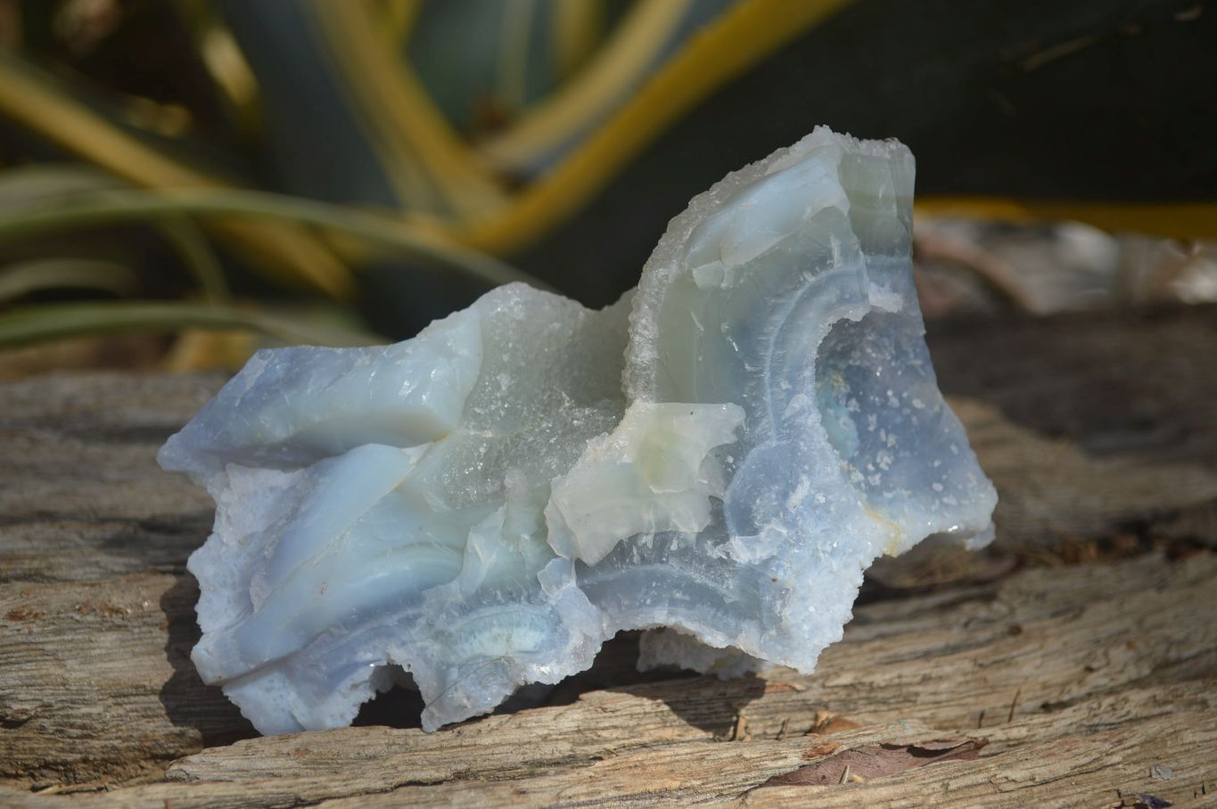 Natural Etched Blue Chalcedony Specimens x 3 From Nsanje, Malawi - Toprock Gemstones and Minerals 