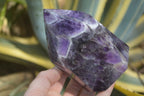Polished Chevron Amethyst Prism-Point x 1 From Zambia - Toprock Gemstones and Minerals 