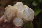 Natural Quartz Clusters x 2 From Luena, Congo - Toprock Gemstones and Minerals 
