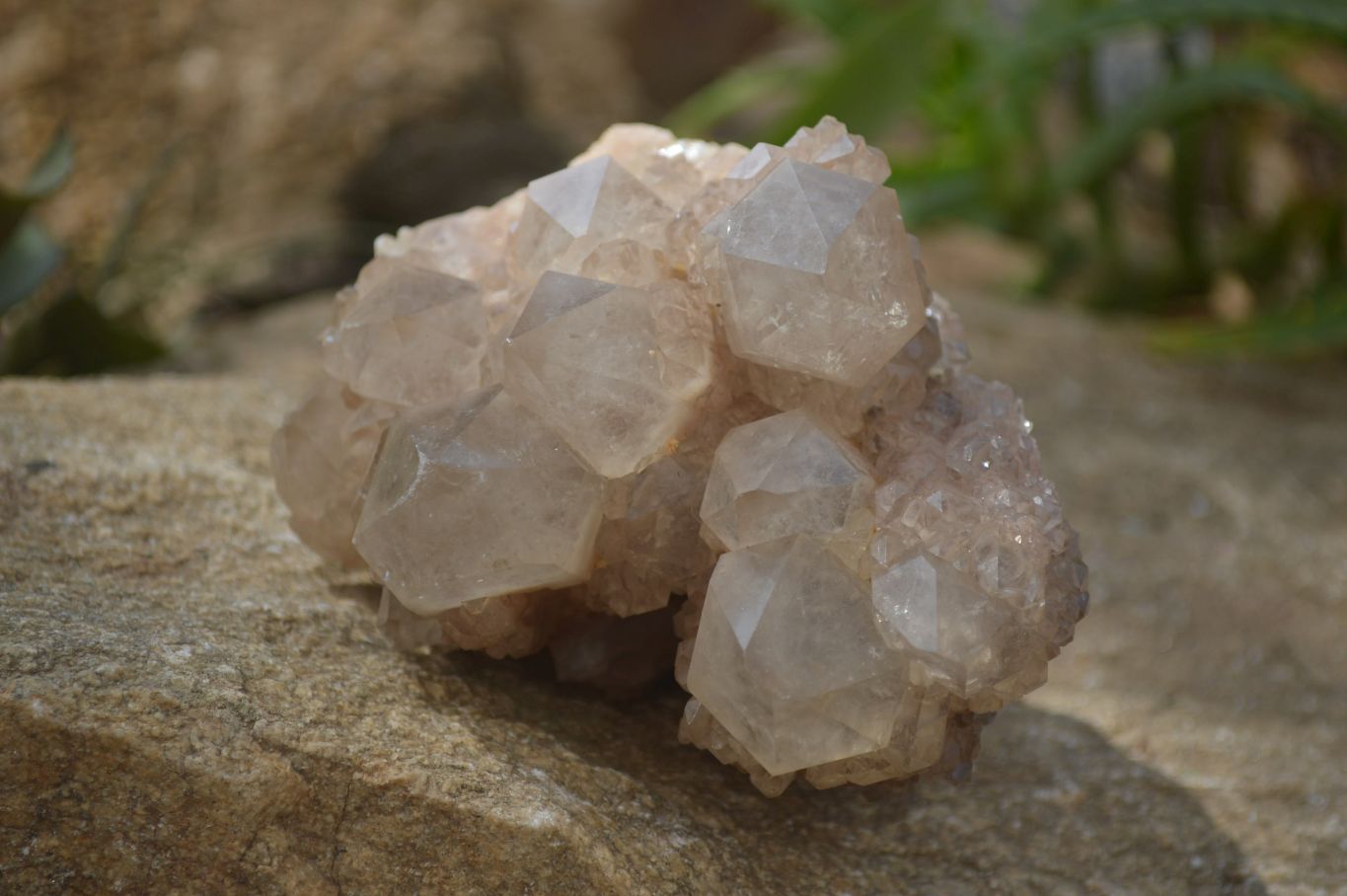 Natural Quartz Clusters x 2 From Luena, Congo - Toprock Gemstones and Minerals 