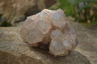 Natural Quartz Clusters x 2 From Luena, Congo - Toprock Gemstones and Minerals 