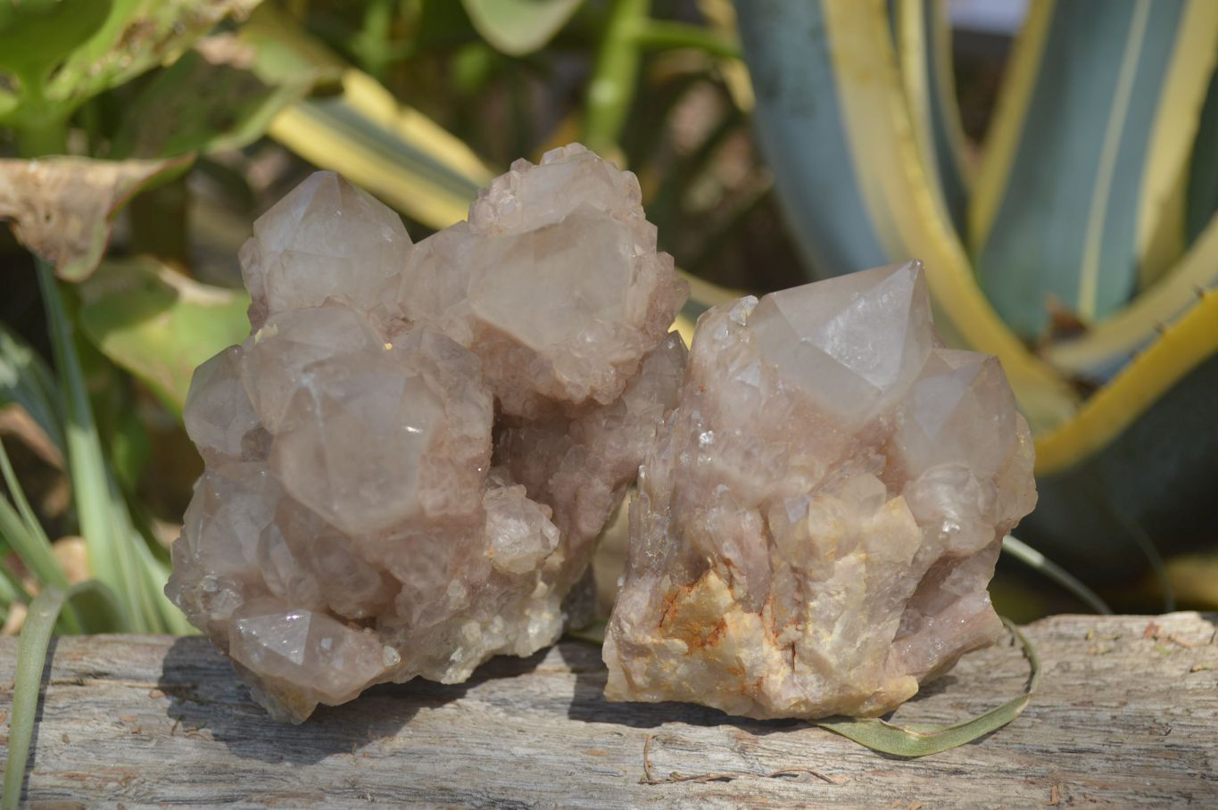 Natural Quartz Clusters x 2 From Luena, Congo - Toprock Gemstones and Minerals 