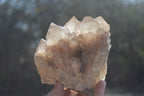 Natural Quartz Clusters x 2 From Luena, Congo - Toprock Gemstones and Minerals 