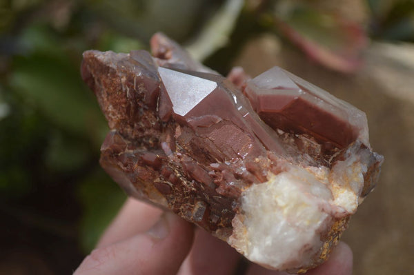 Natural Red Hematoid Quartz Clusters x 2 From Karoi, Zimbabwe - Toprock Gemstones and Minerals 