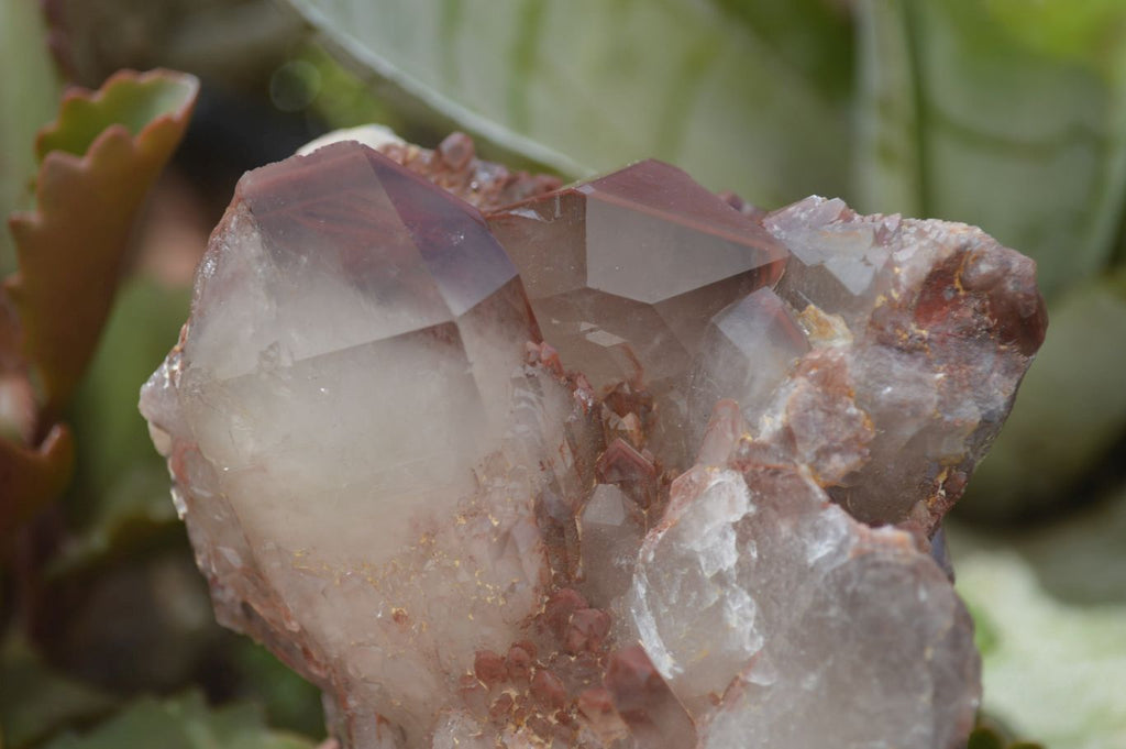 Natural Red Hematoid Quartz Clusters x 2 From Karoi, Zimbabwe - Toprock Gemstones and Minerals 