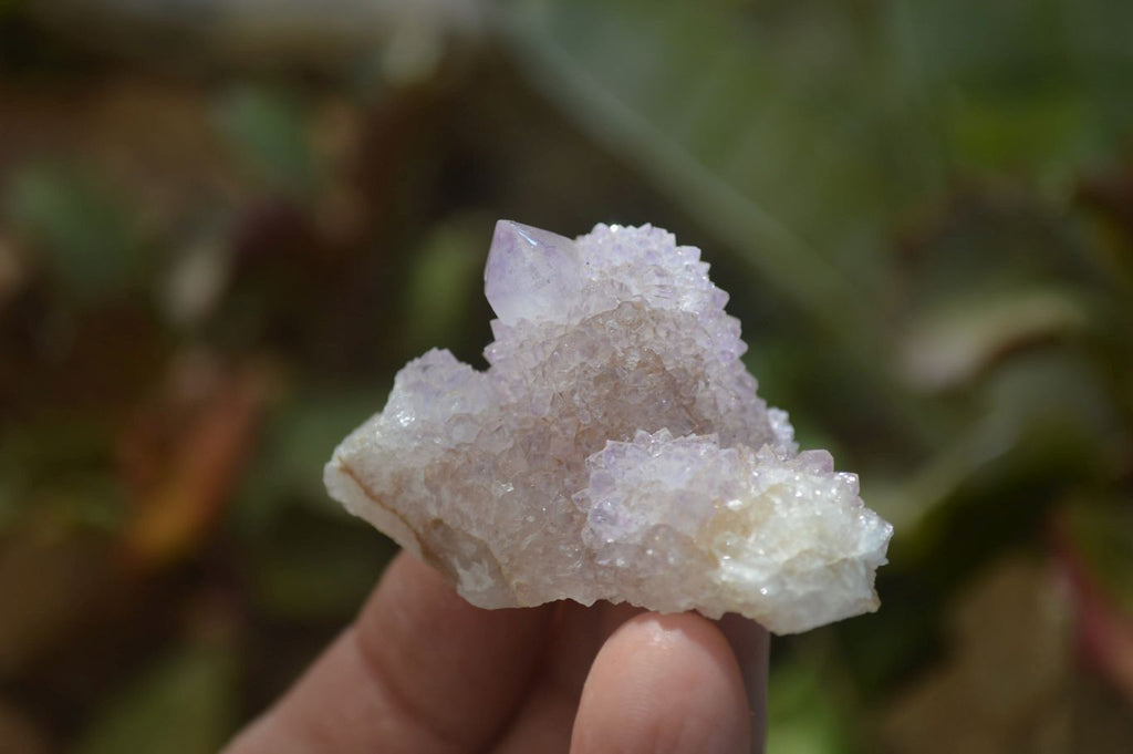 Natural Ametrine Spirit Quartz Clusters x 24 From Boekenhouthoek, South Africa - Toprock Gemstones and Minerals 